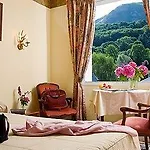 Hotel Logis Les Cimes 2*